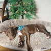 Griswold - Photo 3