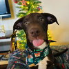 Griswold - Photo 4