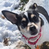 Sprout - Photo 2