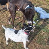 Sprout - Photo 4