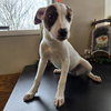 Ainsley - Photo 5