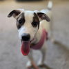 Ainsley - Photo 1
