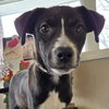 Asher - Photo 2