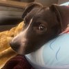 Asher - Photo 6