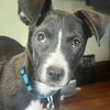 Asher - Photo 1