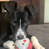 Asher - Photo 4