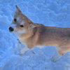 Mario - Photo 2