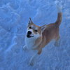 Mario - Photo 3