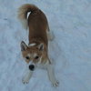 Mario - Photo 4