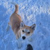 Mario - Photo 5