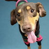Adalee - Photo 2