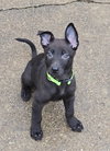 Olaf - Photo 3