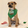Cocoa - Photo 2