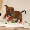 Peppermint - Photo 5