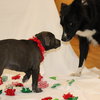 Frosty - Photo 6