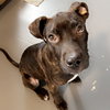 Mr. Pibb - Photo 9