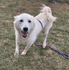 Nymeria - Photo 3