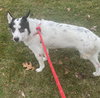 Wobbles - Photo 4