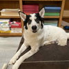 Wobbles - Photo 3
