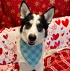 Wobbles - Photo 1