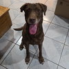 Mamaw Betty - Photo 4