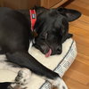 Mia - Photo 6