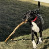 Mia - Photo 7