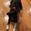 Zumi - Photo 3