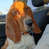 Precious - Photo 2