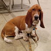 Precious - Photo 3