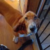 Precious - Photo 4