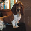 Precious - Photo 5