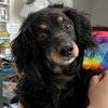 Yeti - Photo 2