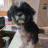 Willie - Photo 2