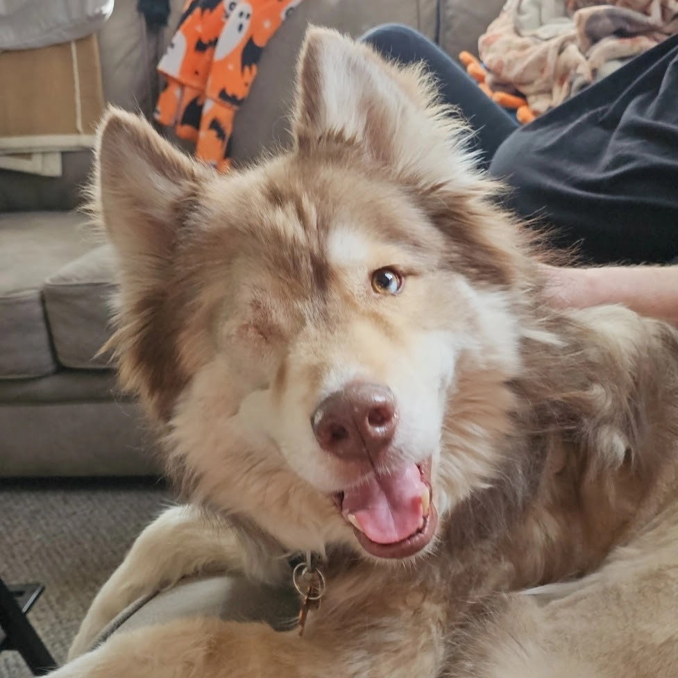 Barkley Image
