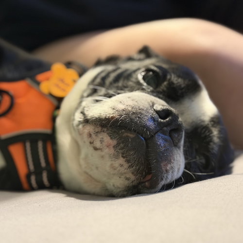 Jack Jack, photo 4