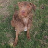 Jelly Bean - Photo 3