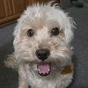 Eddie - Photo 1