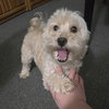 Eddie - Photo 3