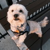 Eddie - Photo 4