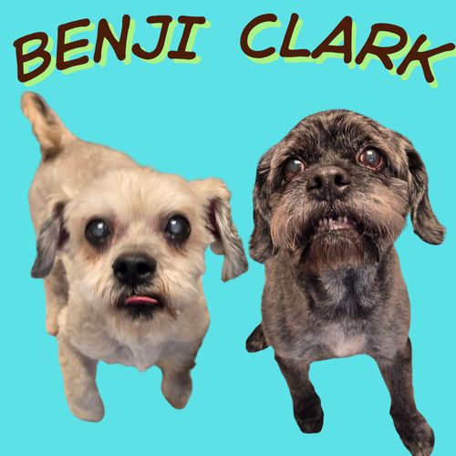 Clark, photo 6