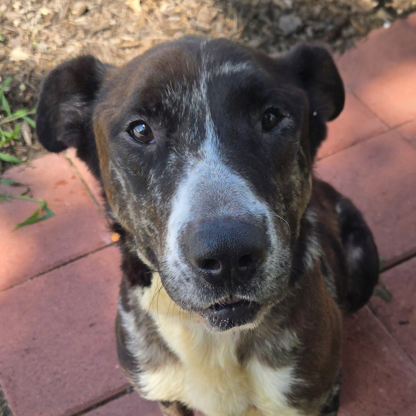 Rudolph, photo 3