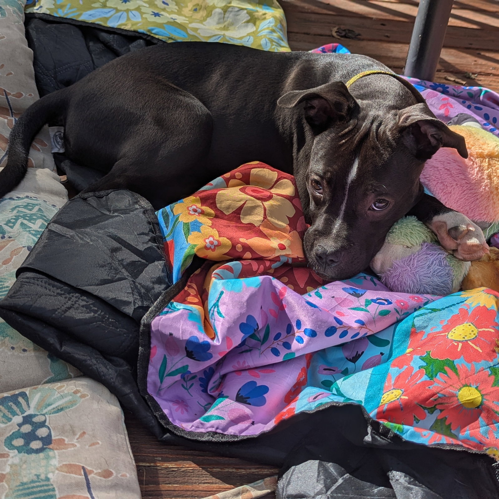 Doris, photo 6
