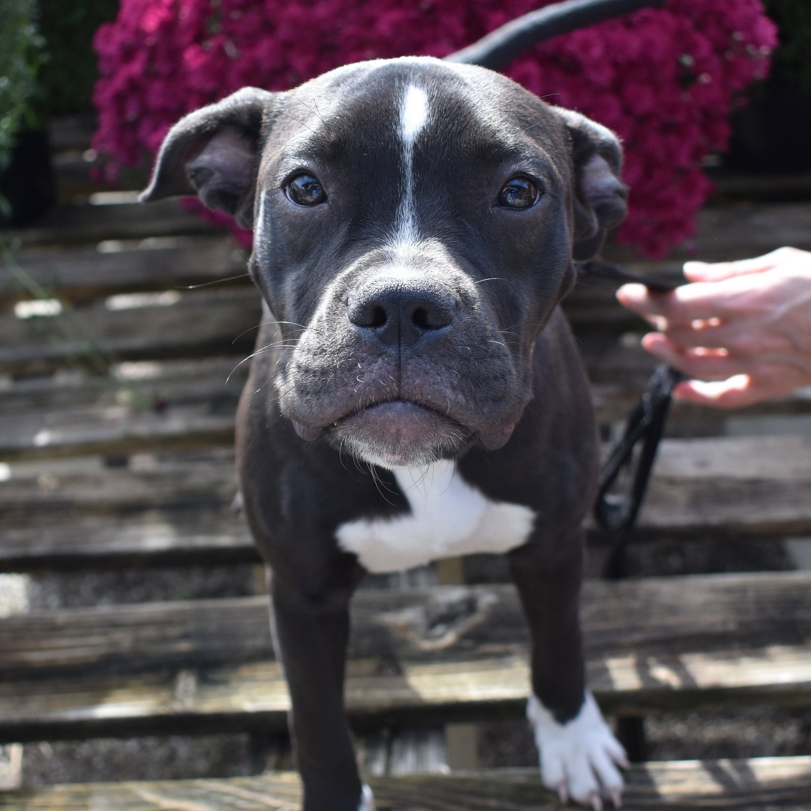 Doris, photo 3