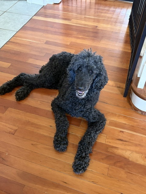 Photo 2 of Maggie