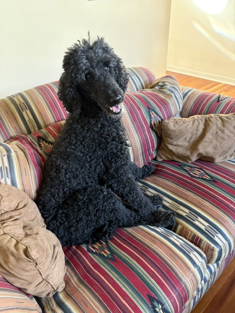 Photo 3 of Maggie