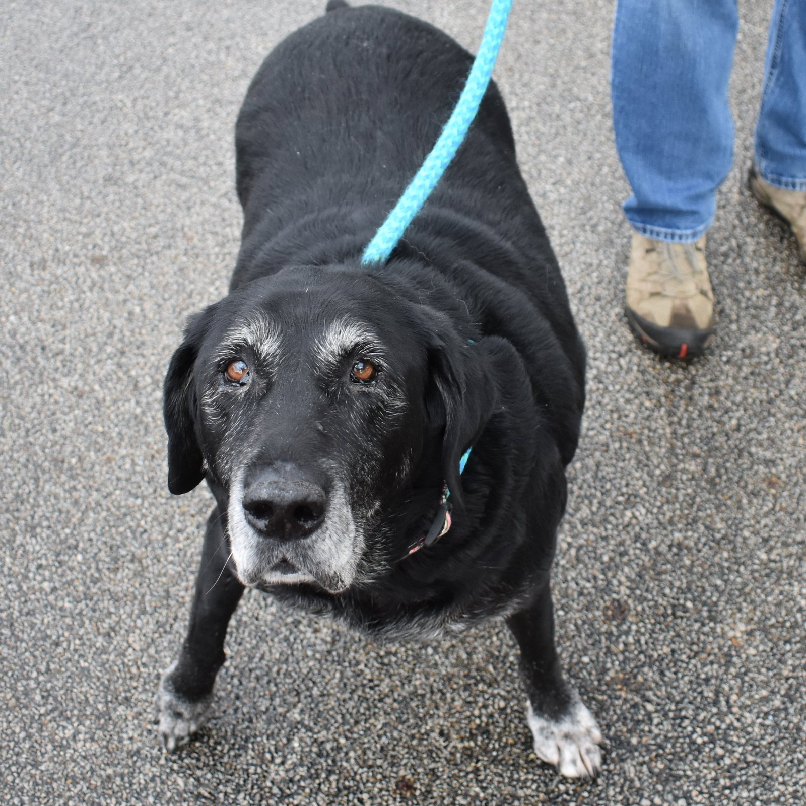 Missy, photo 5