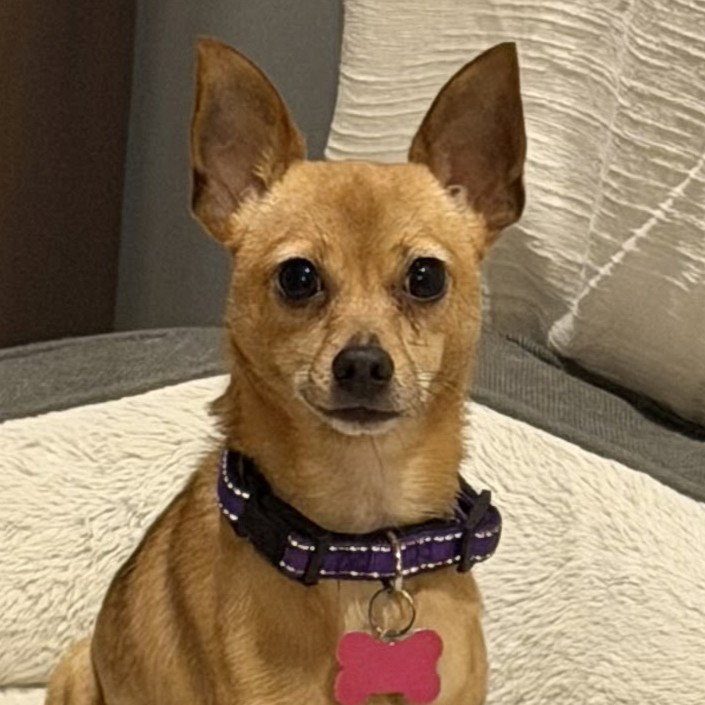 Winnie