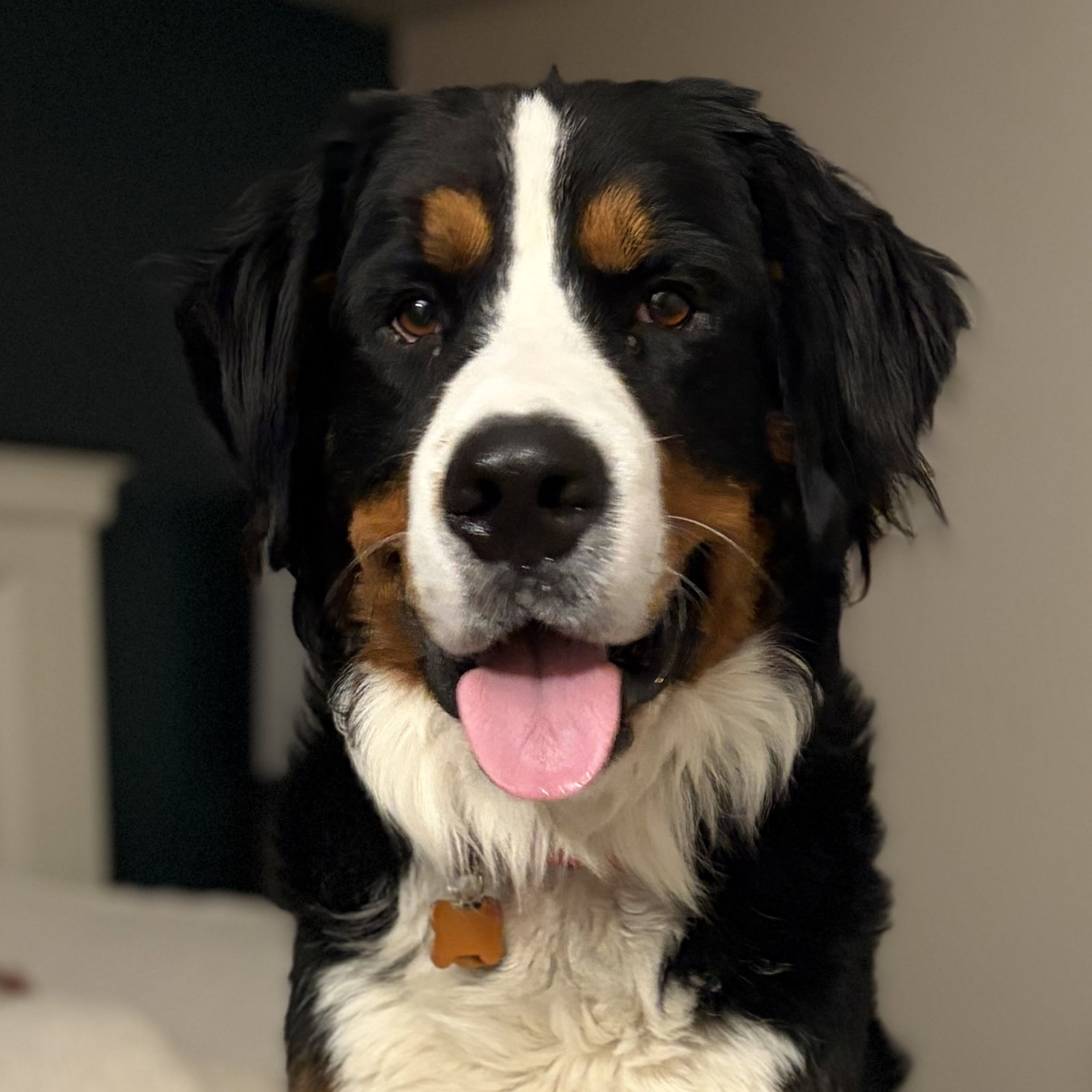 Oakley
