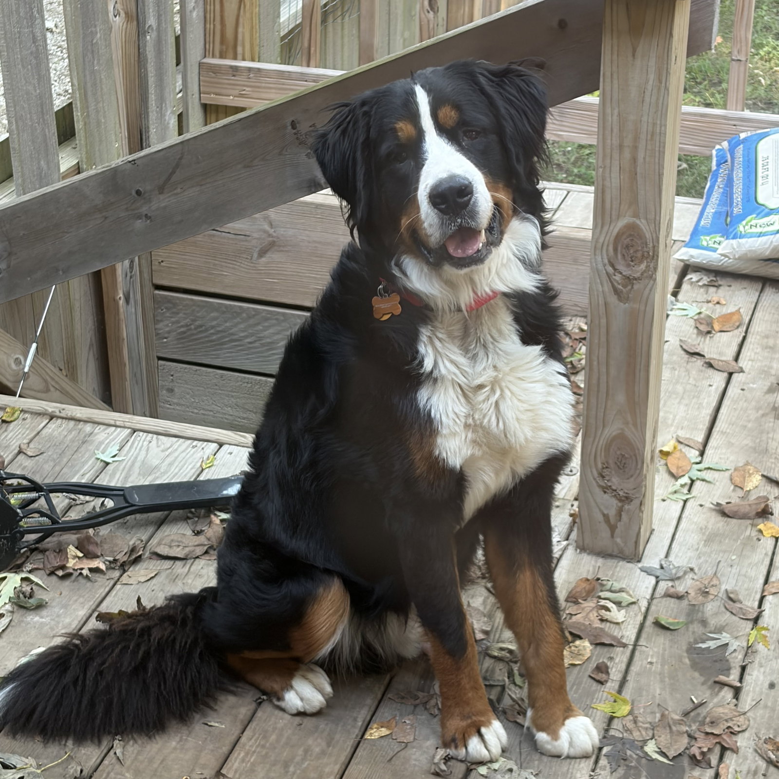 Oakley, photo 4